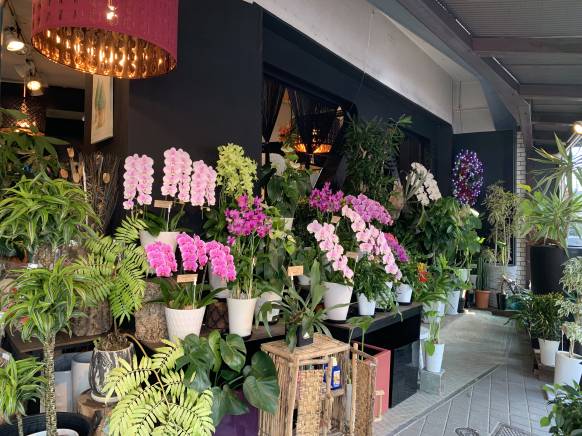 「ポピーフローリスト」　（高知県高知市）の花屋店舗写真3